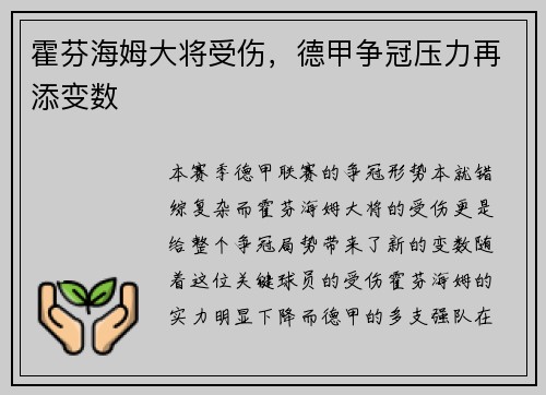 霍芬海姆大将受伤，德甲争冠压力再添变数